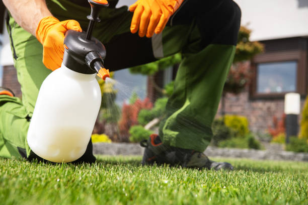 Professional Pest Control in Harrison, WI