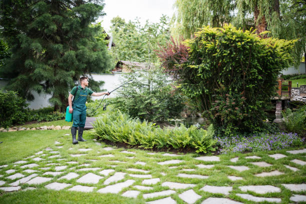 Best Pest Removal Services  in Harrison, WI
