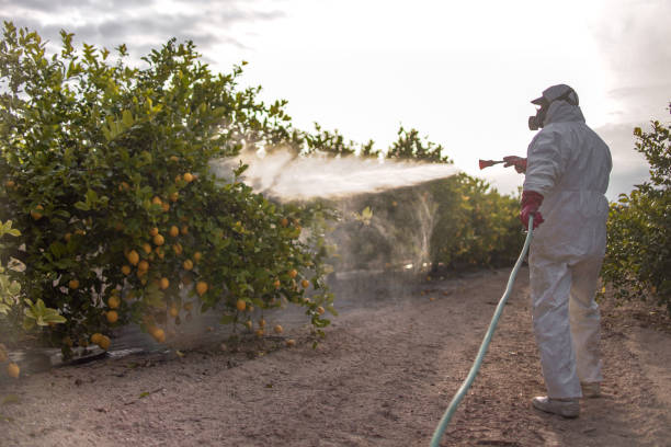 Best Insect Control  in Harrison, WI