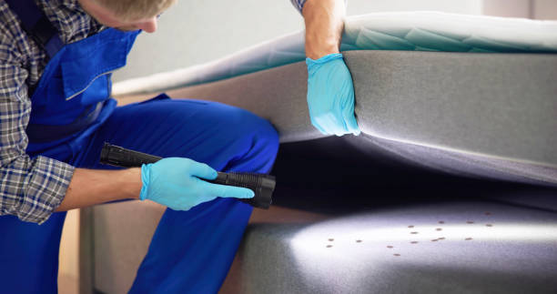 Best Local Pest Control Services  in Harrison, WI