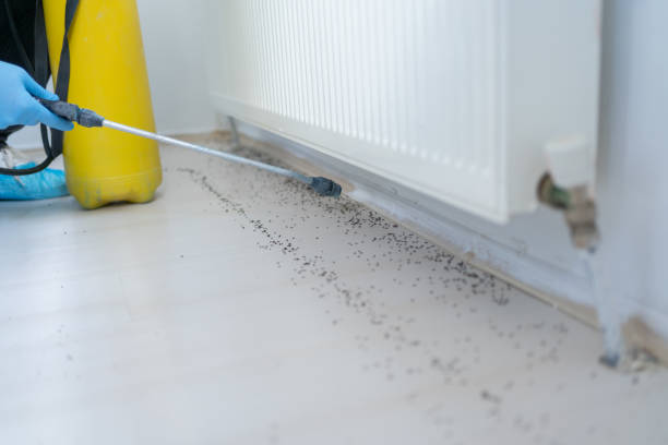 Best Exterminator Services  in Harrison, WI