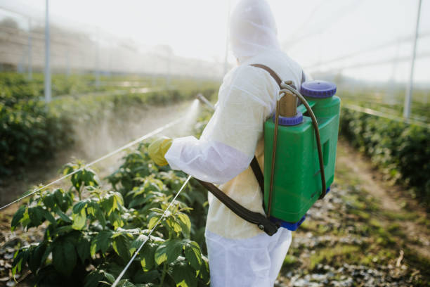 Best Flea Control Services  in Harrison, WI